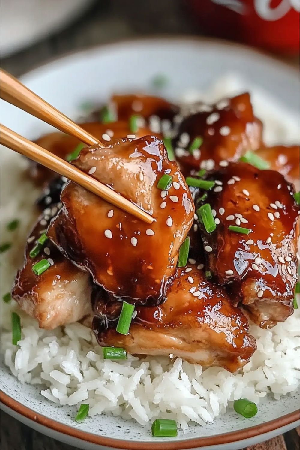24.Pollo Teriyaki Con Cocacola 1